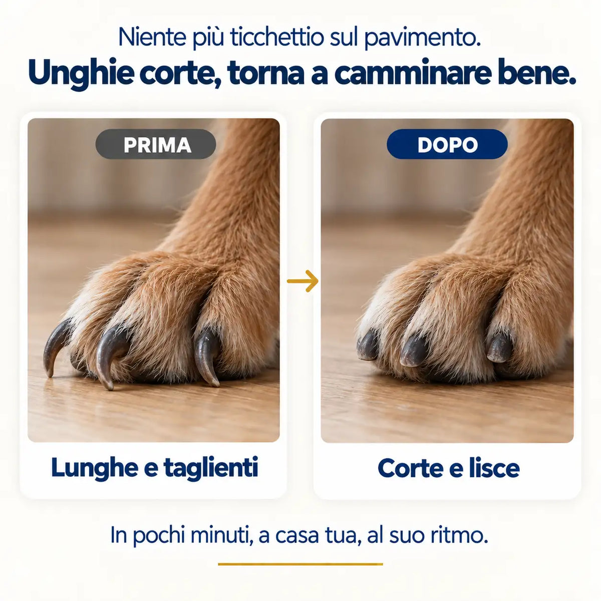 SafePaw™ — Tagli le unghie al tuo cane da solo, in pochi minuti, con la certezza di non fargli male